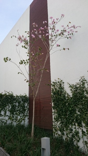 Cada en Santa Fe CDMX