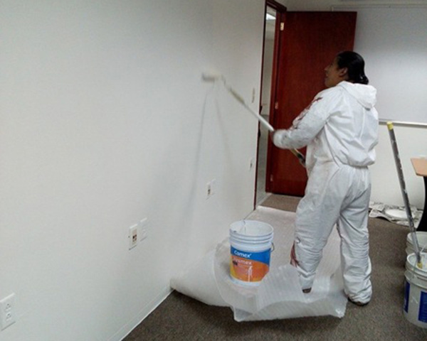 Pintura Oficinas