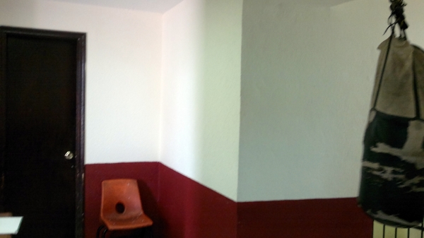 APLICACION DE PINTURA