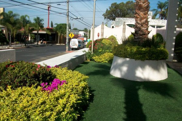 Cafeteria Cuernavaca 9