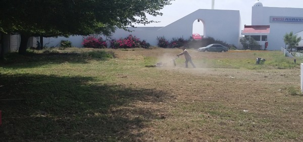 trabajos de jardineria