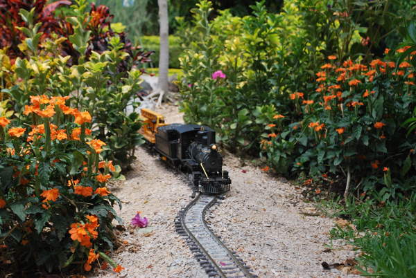 Es el momento de iniciar un pasatiempo