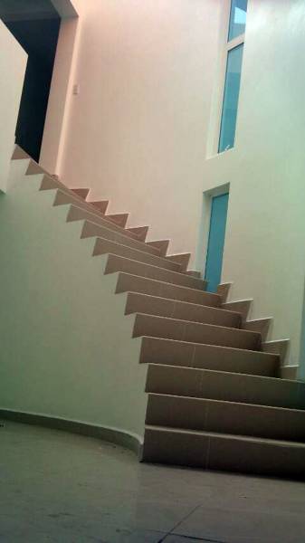 ESCALERA ORGÁNICA
