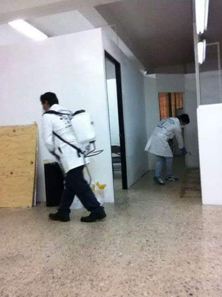 Fumigaciones espinoza casera e industrial