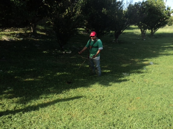 Fumigación y mantenimiento de áreas verdes