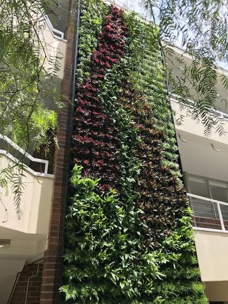 Jardinería arquitectura los Hernández