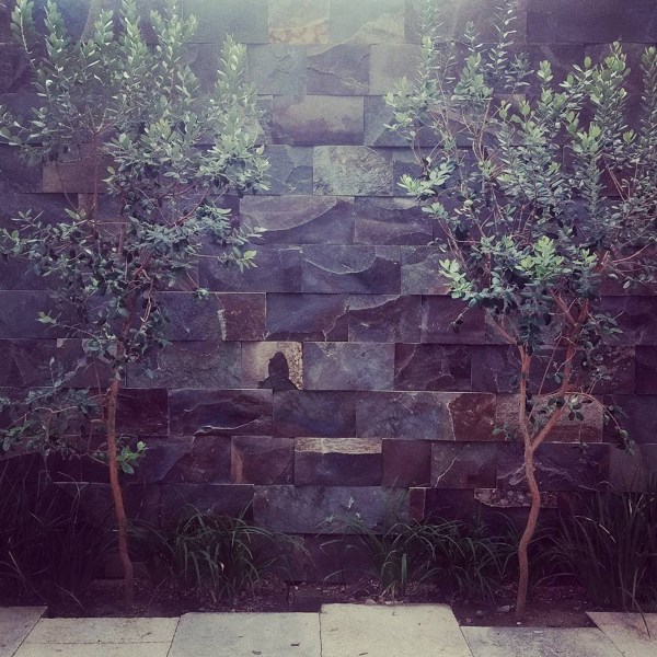 Construcción de residencia