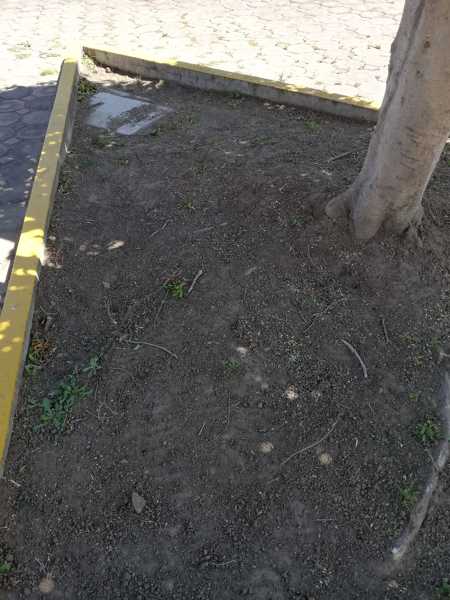 Piedras en jardineras