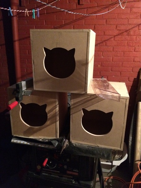 caja para gato