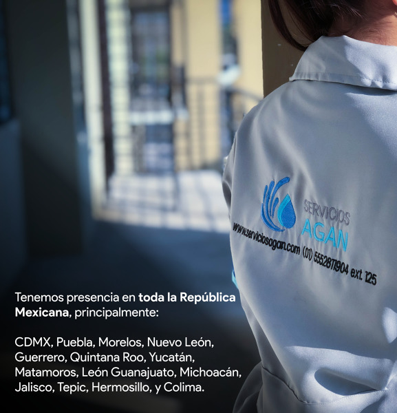 ¿En dónde quieres limpieza?