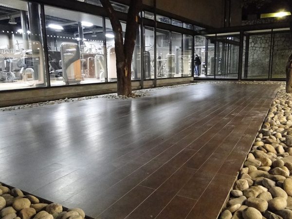 Patio central Gimnasio