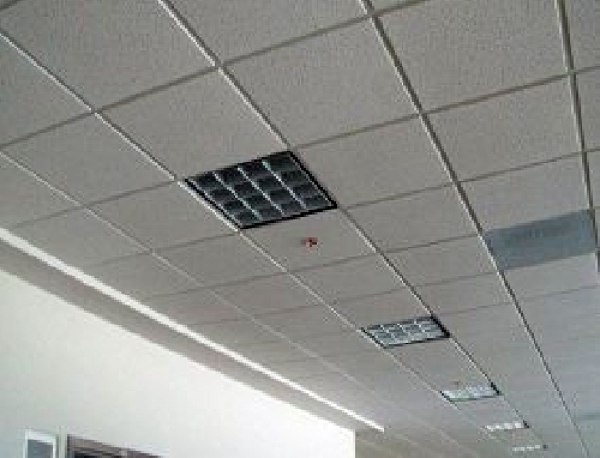 Foto: Plafones Reticulares de Valevs #3335 - Habitissimo