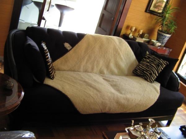 RETAPIZADO DE SILLON 2 PLAZAS