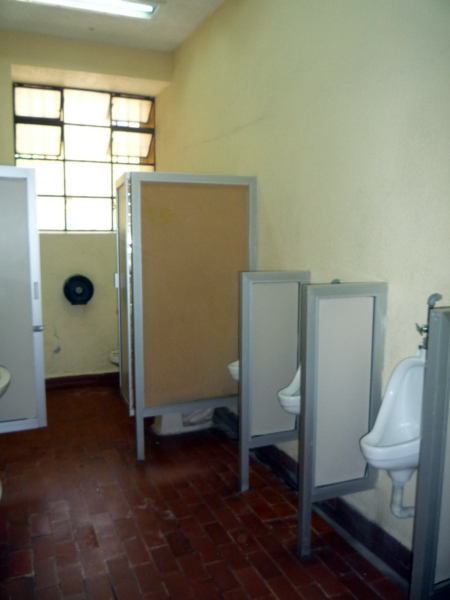 Sanitarios del Museo Nacional de San Carlos
