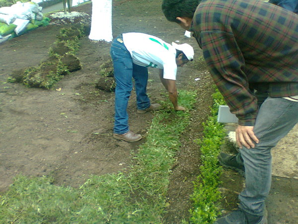 pasto