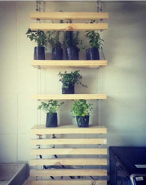 Repisas para especies