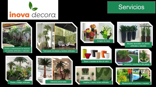 Decoración de interiores con plantas