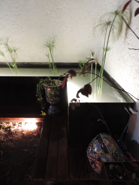 terraza jardin