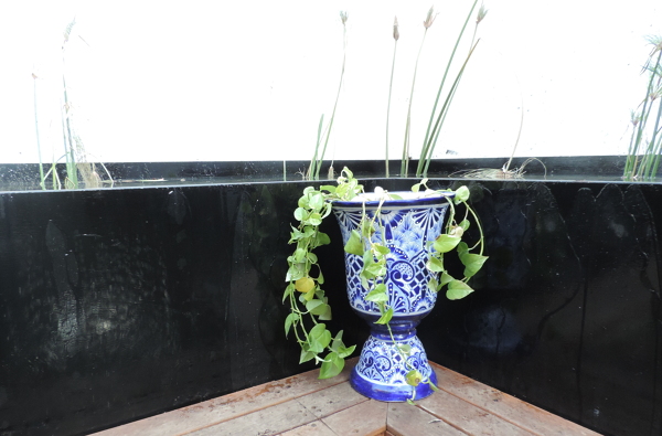 terraza jardin
