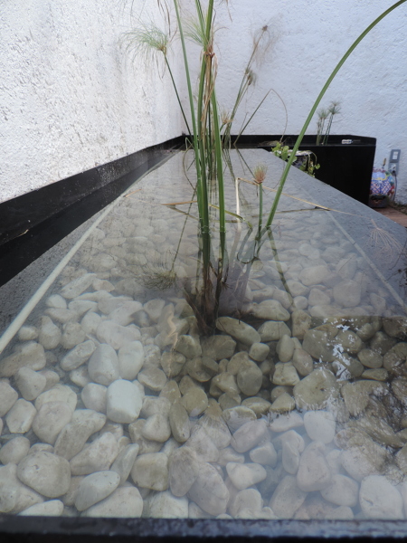 terraza jardin