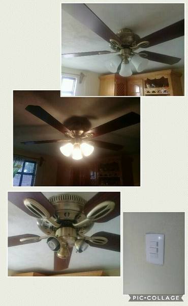 Ventilador de Techo