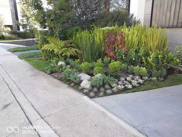 Diseño de jardinería