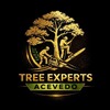 Tree Experts Acevedo