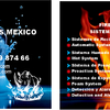 Fiscom Fire Systems Constructions Mexico