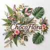 Chocoflora