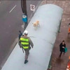 Ceros Y Unos