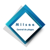 Milsaa 
