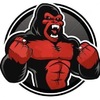 Gorilla Piscinas