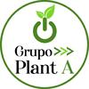 Grupo Plant A
