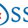 Puertas Automáticas Dss