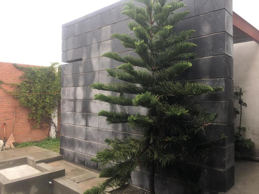 Vista hacia el jardín