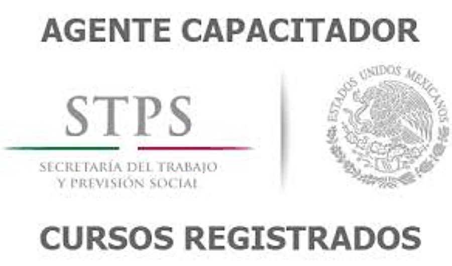 AGENTE CAPACITADOR DE LA STPS
