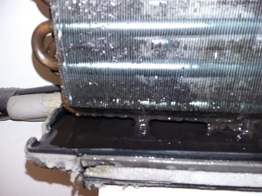 ANTES DE HACER MANTENIMIENTO 