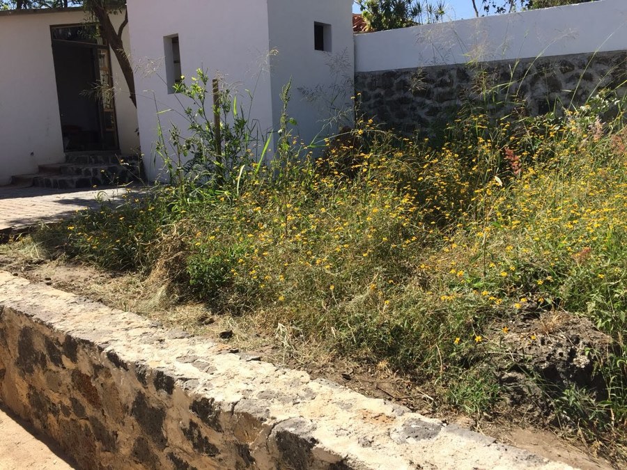 Foto: Antes del Proyecto de Diseño de Jardín de Centro De Jardinería