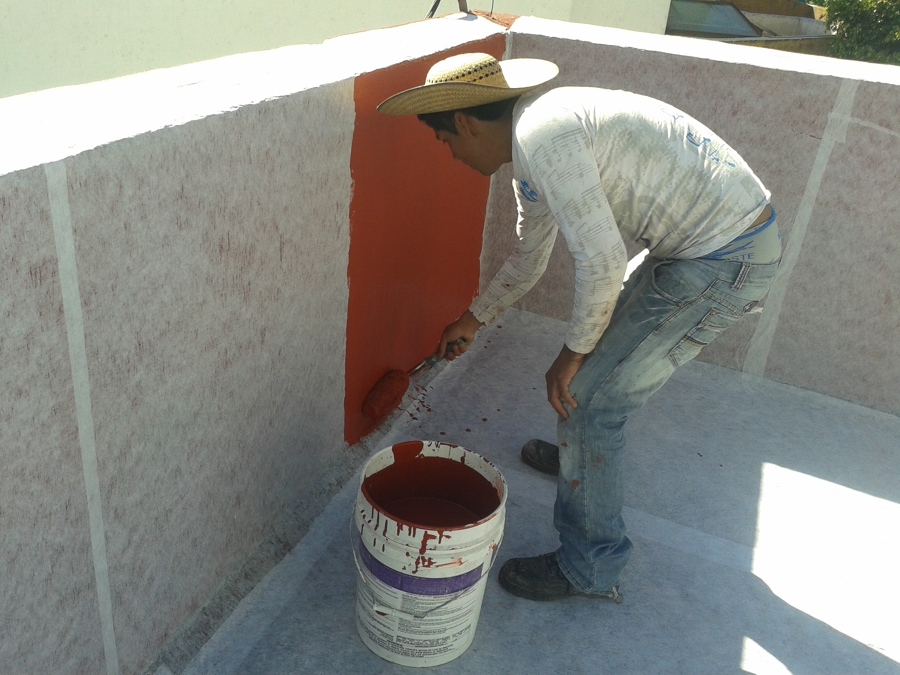 Aplicación de la primera mano.