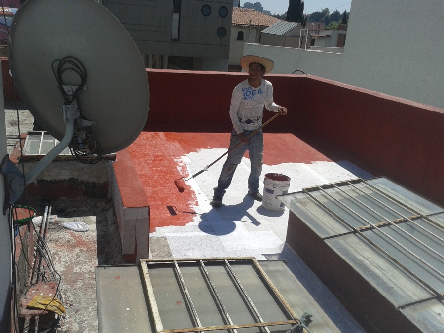 Aplicación de la primera mano.