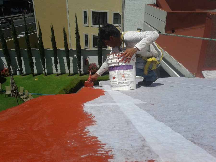 Aplicación de la primera mano.