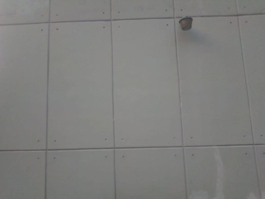 Aplicación de pintura