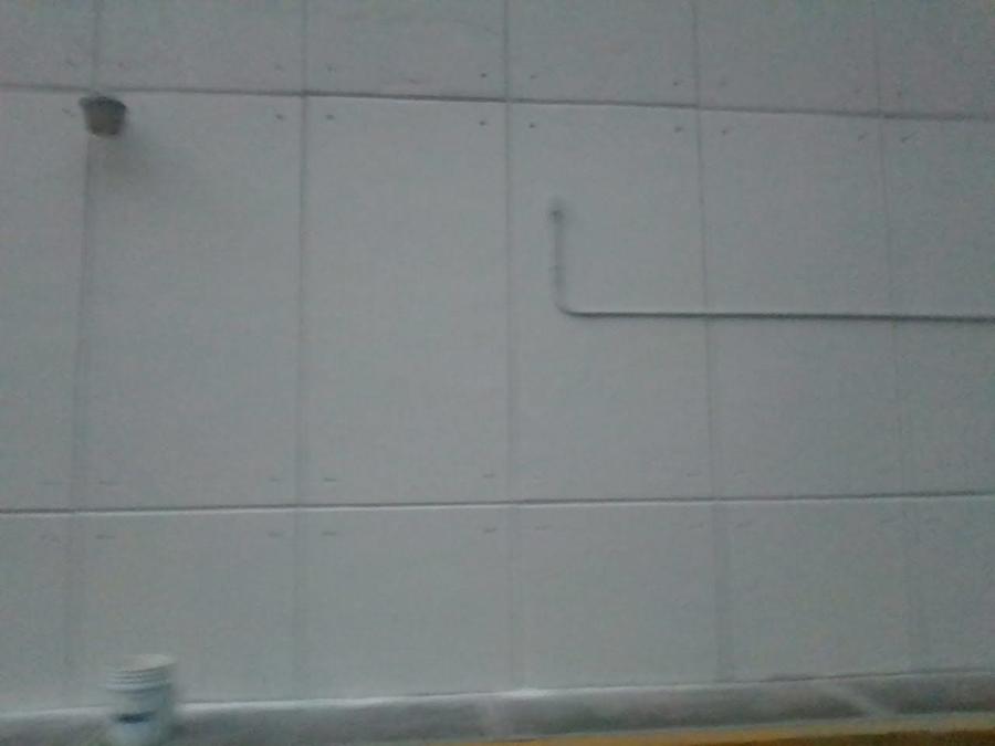 Aplicación de pintura