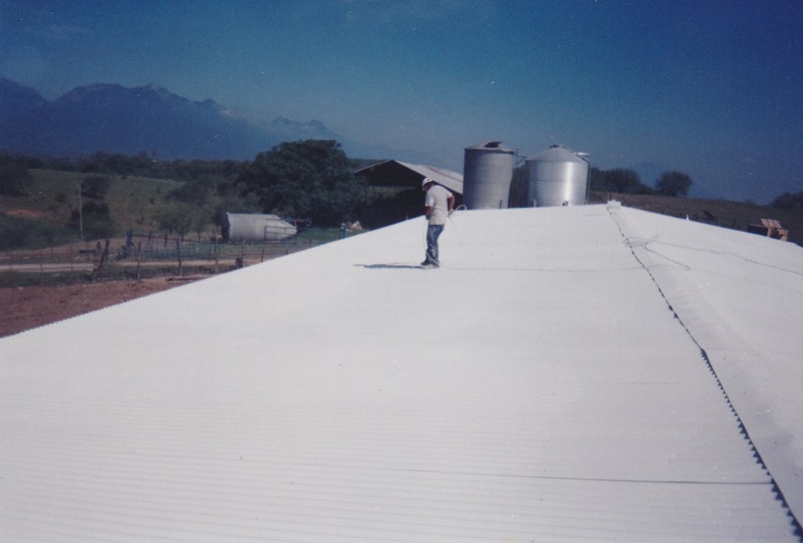 Aplicacion de segunda mano