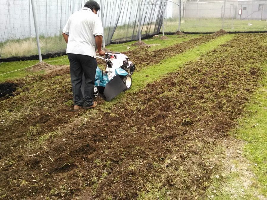 ARADO DE TIERRA Y CREACIÓN DE SURCOS