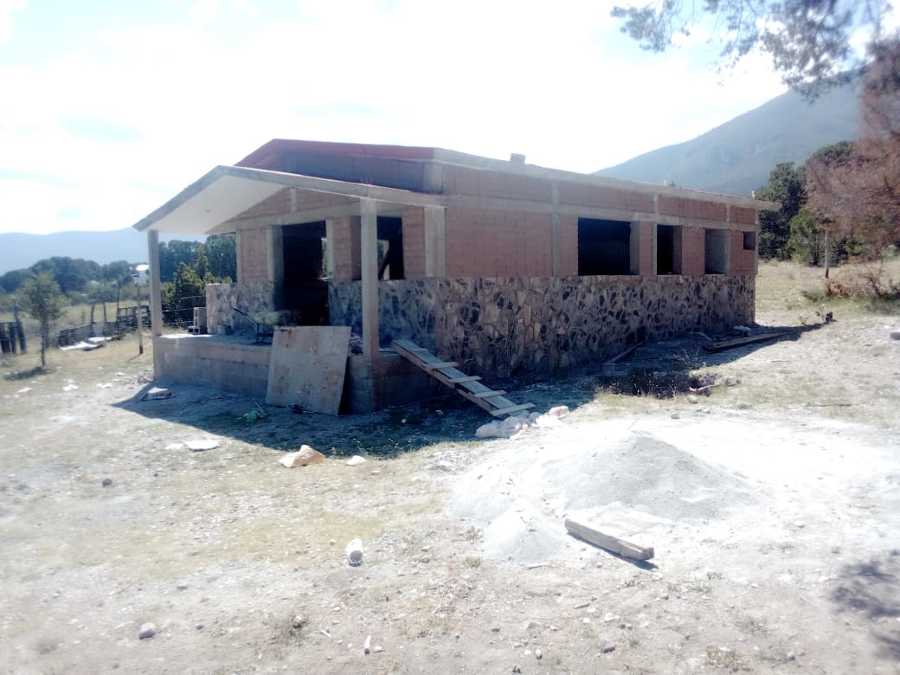 AVANCE ACTUAL