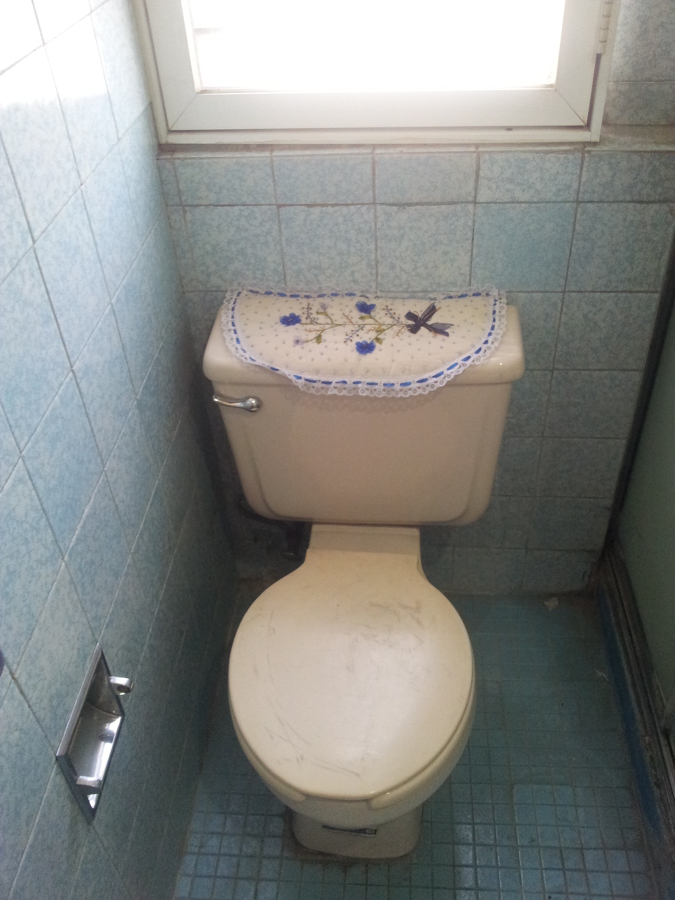 Baño antes de la intervención