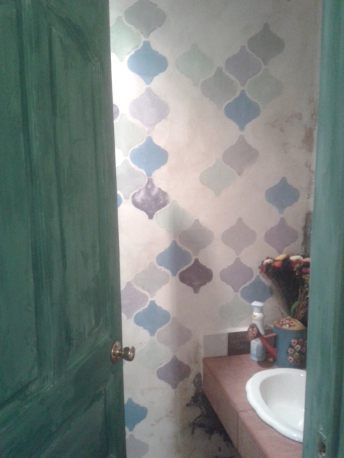 Baño, pared de estenciles y puerta decorativa