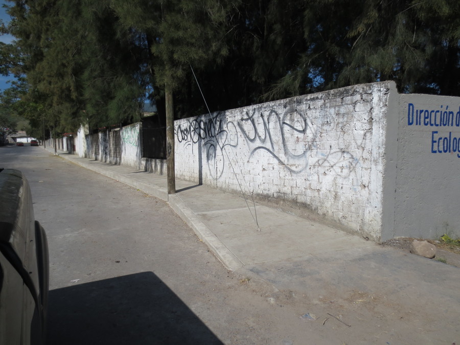 BANQUETA Y GUARNICION