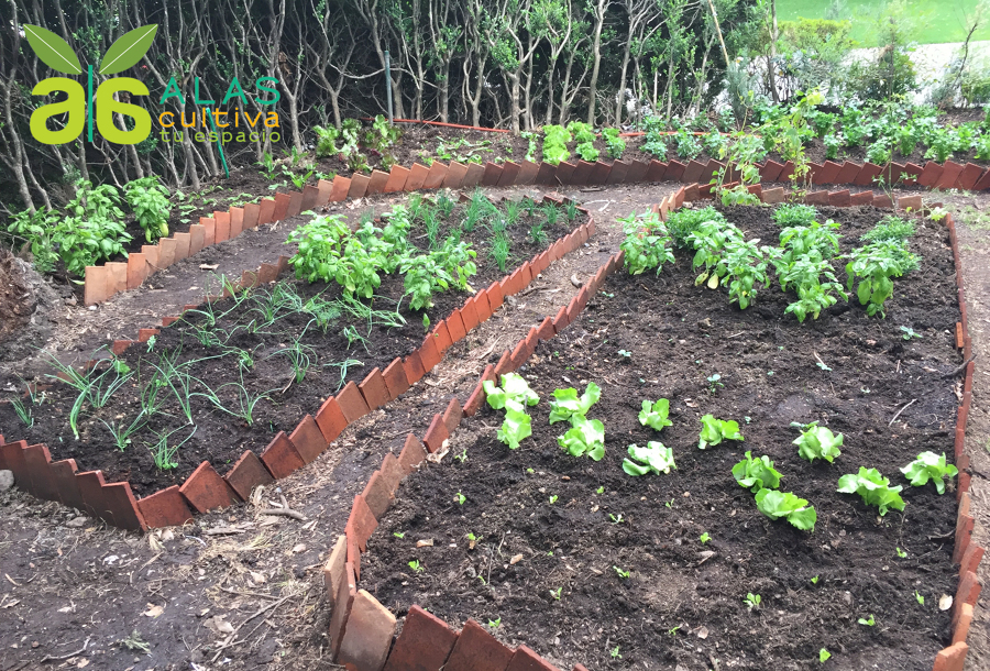 Camas de cultivo
